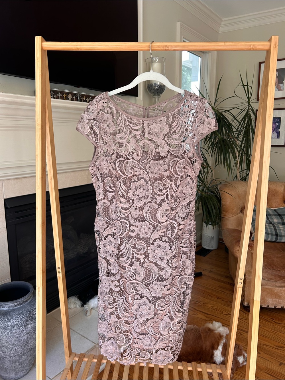 Adrianna Papell Lace Midi Dress